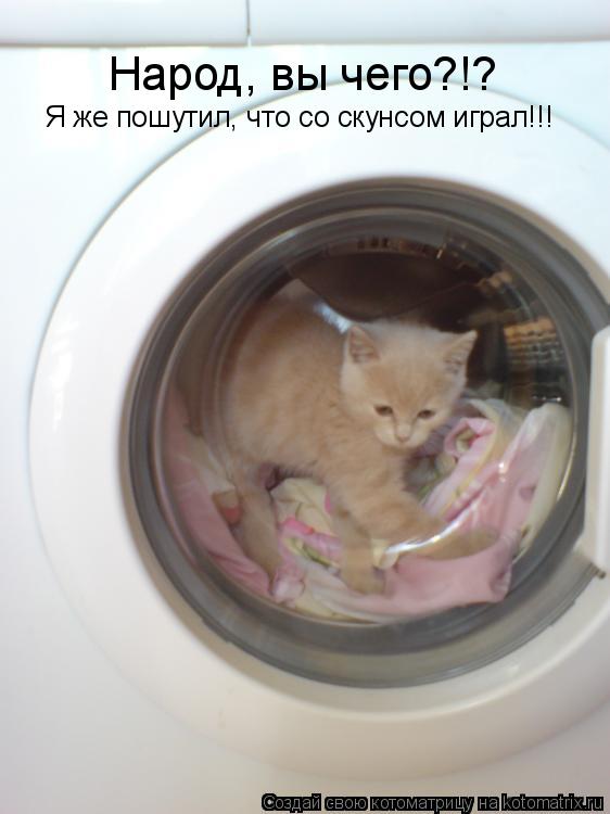 Котоматрица: Народ, вы чего?!? Я же пошутил, что со скунсом играл!!!