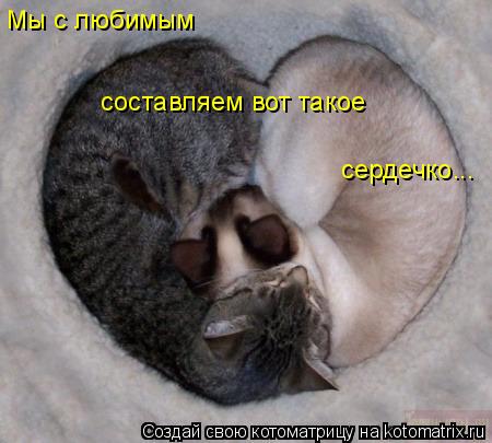 Мы с любимым составляем вот такое сердечко...... Котоматрица: Мы с любимым составляем вот такое сердечко...