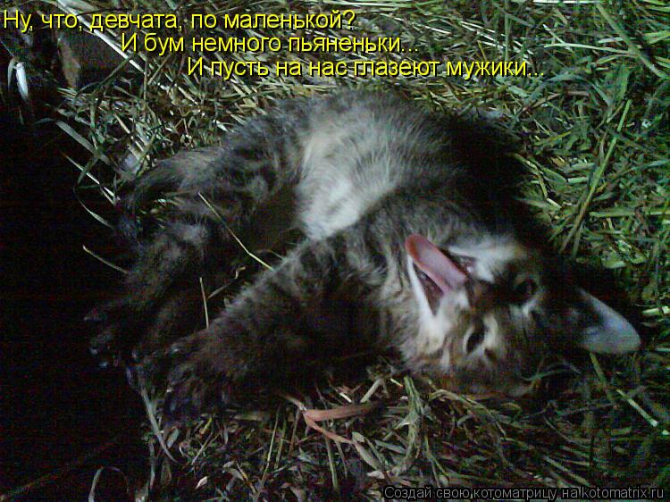 Ну, что, девчата, по маленькой? И бум немного пьяненьки... И пусть на нас глазеют мужики...... Котоматрица: Ну, что, девчата, по маленькой? И бум немного пьяненьки... И пусть на нас глазеют мужики...