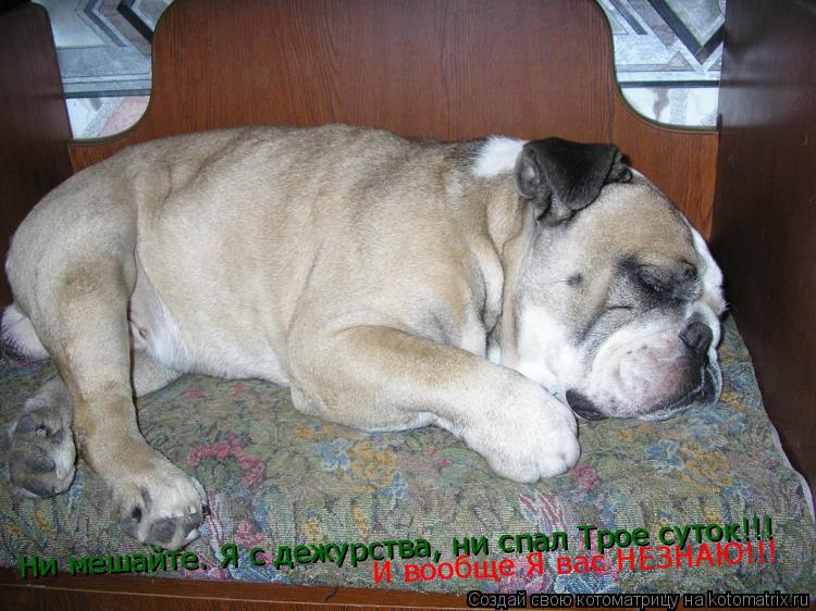 Ни мешайте. Я с дежурства, ни спал Трое суток!!! И вообще Я вас НЕЗНАЮ!!!... Котоматрица: Ни мешайте. Я с дежурства, ни спал Трое суток!!! И вообще Я вас НЕЗНАЮ!!!