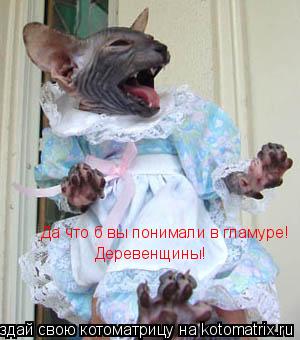 Да что б вы понимали в гламуре! Деревенщины! Да что б вы понимали в гламуре! Деревенщины!... Котоматрица: Да что б вы понимали в гламуре! Деревенщины! Да что б вы понимали в гламуре! Деревенщины!