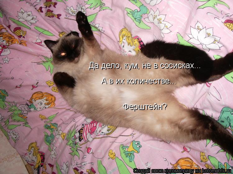 Да дело, кум, не в сосисках... А в их количестве... Ферштейн?... Котоматрица: Да дело, кум, не в сосисках... А в их количестве... Ферштейн?