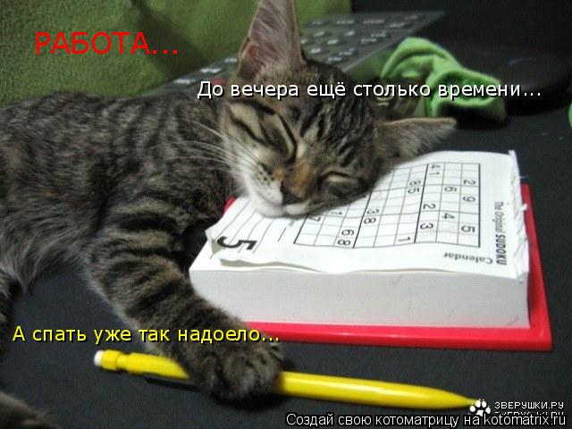 РАБОТА... До вечера ещё столько времени... А спать уже так надоело...... Котоматрица: РАБОТА... До вечера ещё столько времени... А спать уже так надоело...