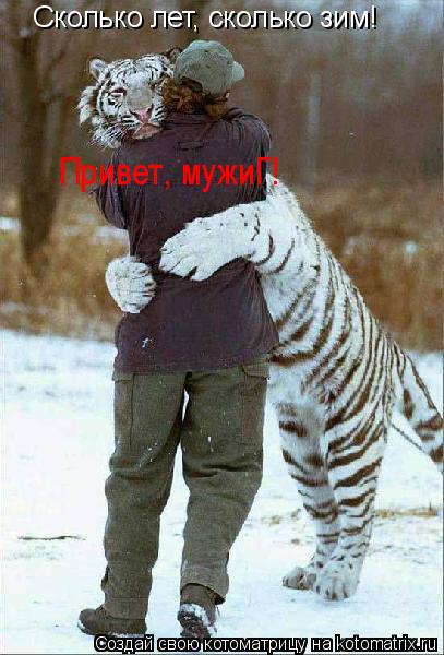 Сколько лет, сколько зим! Привет мужиг! Сколько лет, сколько зим! Привет, мужиГ!... Котоматрица: Сколько лет, сколько зим! Привет мужиг! Сколько лет, сколько зим! Привет, мужиГ!