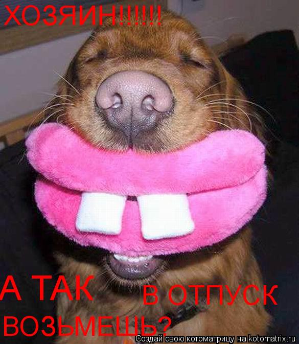 ХОЗЯИН!!!!!! А ТАК В ОТПУСК ВОЗЬМЕШЬ?... Котоматрица: ХОЗЯИН!!!!!! А ТАК В ОТПУСК ВОЗЬМЕШЬ?
