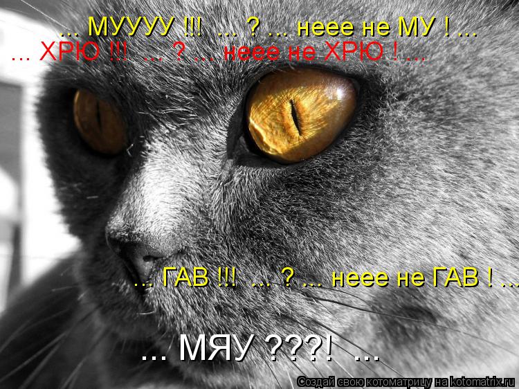 ... МУУУУ !!! ... ? ... неее не МУ ! ... ... ХРЮ !!! ... ? ... неее не ХРЮ ! ... ... ГАВ !!! ...... Котоматрица: ... МУУУУ !!! ... ? ... неее не МУ ! ... ... ХРЮ !!! ... ? ... неее не ХРЮ ! ... ... ГАВ !!! ... ? ... неее не ГАВ ! ... ... МЯУ ???! ...