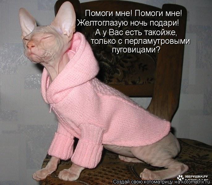 Помоги мне! Помоги мне! Желтоглазую ночь подари! А у Вас есть такойже, только с перламутровыми пугови... Котоматрица: Помоги мне! Помоги мне! Желтоглазую ночь подари! А у Вас есть такойже, только с перламутровыми пуговицами?