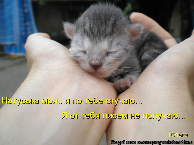 Натуська моя...я по тебе скучаю... Я от тебя писем не получаю... Юлька... Котоматрица: Натуська моя...я по тебе скучаю... Я от тебя писем не получаю... Юлька