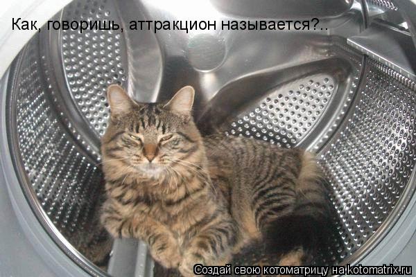 Как, говоришь, аттракцион называется?..... Котоматрица: Как, говоришь, аттракцион называется?..