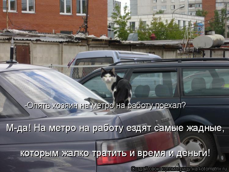 которым жалко тратить и время и деньги! М-да! На метро на работу ездят самые жадные, -Опять хозяин на... Котоматрица: которым жалко тратить и время и деньги! М-да! На метро на работу ездят самые жадные, -Опять хозяин на метро на работу поехал?