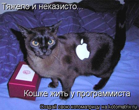 Тяжело и неказисто... Кошке жить у программиста... Котоматрица: Тяжело и неказисто... Кошке жить у программиста