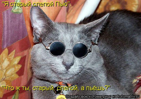 "Я старый слепой Пью". "Что ж ты, старый, слепой, а пьёшь?"... Котоматрица: "Я старый слепой Пью". "Что ж ты, старый, слепой, а пьёшь?"