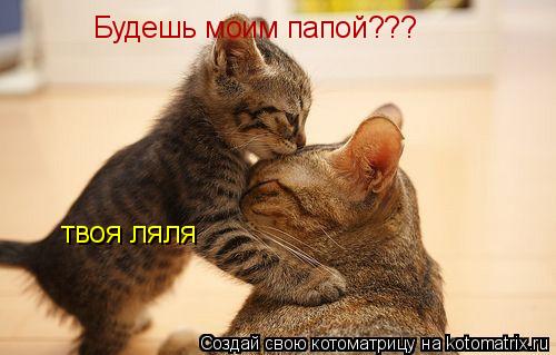 Будешь моим папой??? твоя ляля... Котоматрица: Будешь моим папой??? твоя ляля