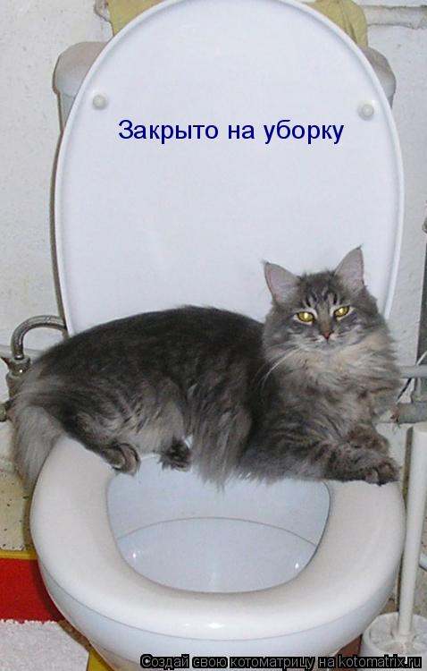 Закрыто на уборку... Котоматрица: Закрыто на уборку