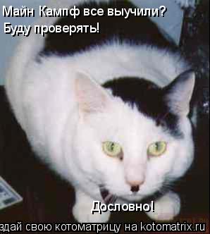 Майн Кампф все выучили? Буду проверять! Дословно!... Котоматрица: Майн Кампф все выучили? Буду проверять! Дословно!