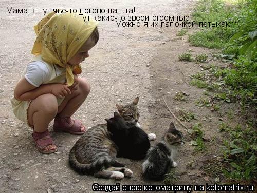 Мама, я тут чьё-то логово нашла! Тут какие-то звери огромные! Можно я их палочкой потыкаю?... Котоматрица: Мама, я тут чьё-то логово нашла! Тут какие-то звери огромные! Можно я их палочкой потыкаю?