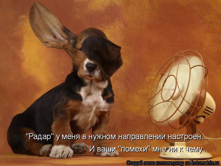 Котоматрица: "Радар" у меня в нужном направлении настроен... И ваши "помехи" мне ни к чему...
