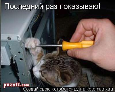 Последний раз показываю!... Котоматрица: Последний раз показываю!