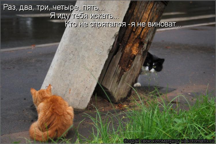 Раз, два, три, четыре, пять... Я иду тебя искать... Кто не спрятался - я не виноват...... Котоматрица: Раз, два, три, четыре, пять... Я иду тебя искать... Кто не спрятался - я не виноват...