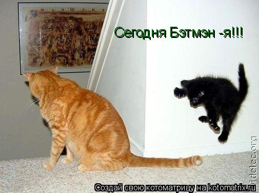 Сегодня Бэтмэн -я!!!... Котоматрица: Сегодня Бэтмэн -я!!!
