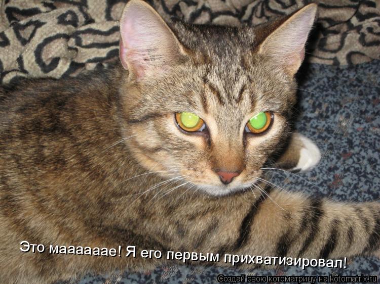 Это маааааае! Я его первым прихватизировал!... Котоматрица: Это маааааае! Я его первым прихватизировал!