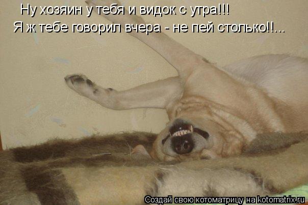 Ну хозяин у тебя и видок с утра!!! Я ж тебе говорил вчера - не пей столько!!...... Котоматрица: Ну хозяин у тебя и видок с утра!!! Я ж тебе говорил вчера - не пей столько!!...