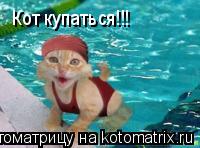 Кот купаться!!!... Котоматрица: Кот купаться!!!
