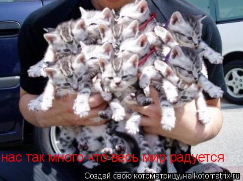 нас так много что весь мир радуется нас так много что весь мир радуется... Котоматрица: нас так много что весь мир радуется нас так много что весь мир радуется