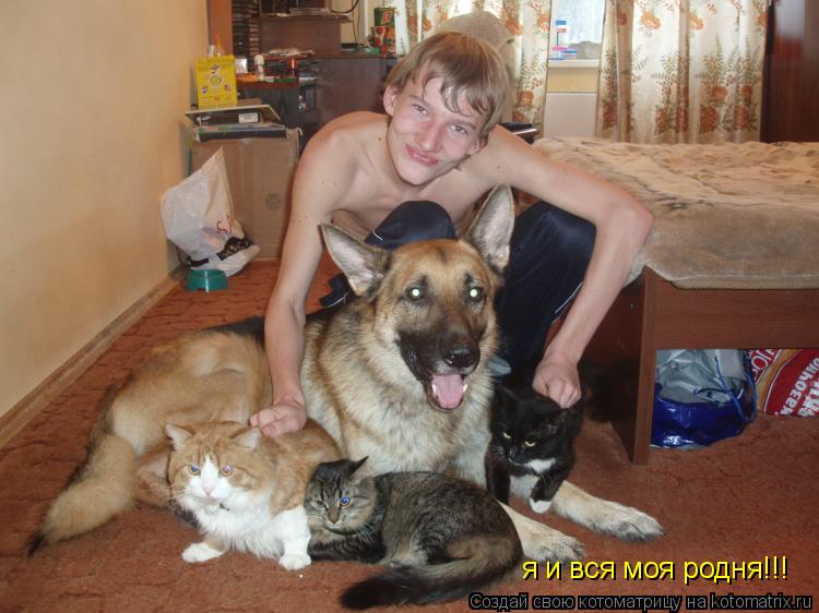 я и вся моя родня!!!... Котоматрица: я и вся моя родня!!!