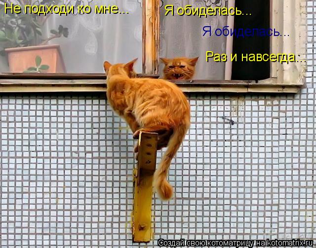 Не подходи ко мне... Я обиделась... Я обиделась... Раз и навсегда...... Котоматрица: Не подходи ко мне... Я обиделась... Я обиделась... Раз и навсегда...