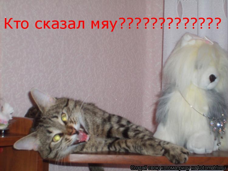 Кто сказал мяу?????????????... Котоматрица: Кто сказал мяу?????????????