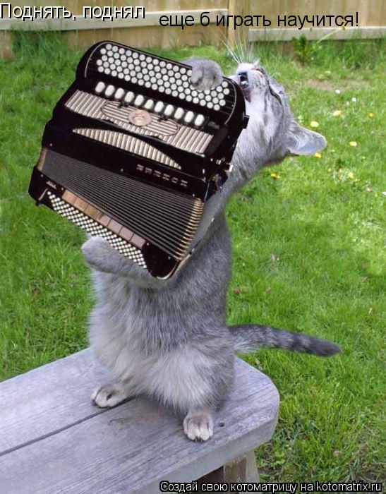 Поднять, поднял еще б играть научится!... Котоматрица: Поднять, поднял еще б играть научится!