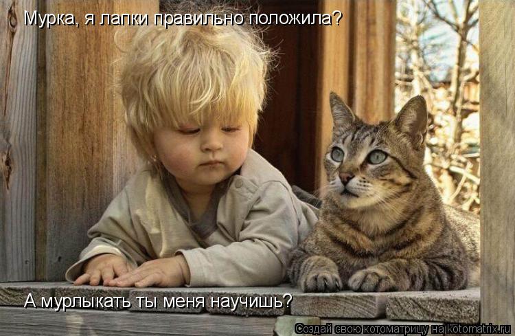 Мурка, я лапки правильно положила? А мурлыкать ты меня научишь?... Котоматрица: Мурка, я лапки правильно положила? А мурлыкать ты меня научишь?