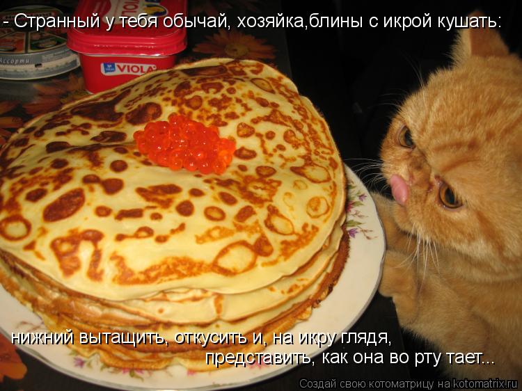 - Странный у тебя обычай, хозяйка,блины с икрой кушать: нижний вытащить, откусить и, на икру глядя, ... Котоматрица: - Странный у тебя обычай, хозяйка,блины с икрой кушать: нижний вытащить, откусить и, на икру глядя, представить, как она во рту тает...