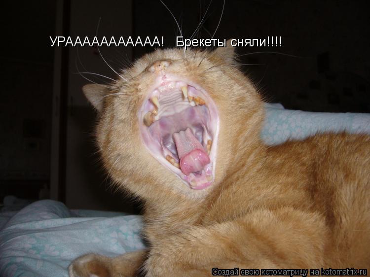 УРААААААААААА! Брекеты сняли!!!!... Котоматрица: УРААААААААААА! Брекеты сняли!!!!