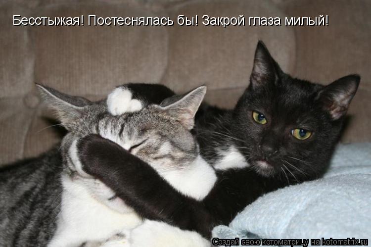 Бесстыжая! Постеснялась бы! Закрой глаза милый!... Котоматрица: Бесстыжая! Постеснялась бы! Закрой глаза милый!