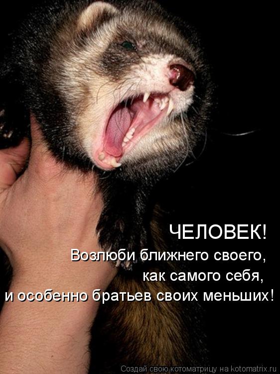 ЧЕЛОВЕК! Возлюби ближнего своего, как самого себя, и особенно братьев своих меньших!... Котоматрица: ЧЕЛОВЕК! Возлюби ближнего своего, как самого себя, и особенно братьев своих меньших!