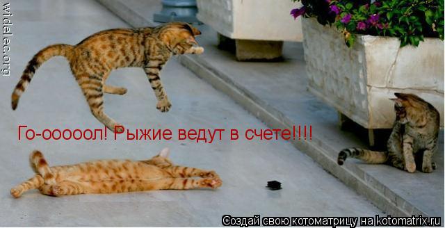 Го-ооооол! Рыжие ведут в счете!!!!... Котоматрица: Го-ооооол! Рыжие ведут в счете!!!!