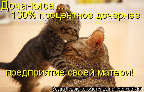 предприятие своей матери! Доча-киса... 100% процентное дочернее... Котоматрица: предприятие своей матери! Доча-киса... 100% процентное дочернее