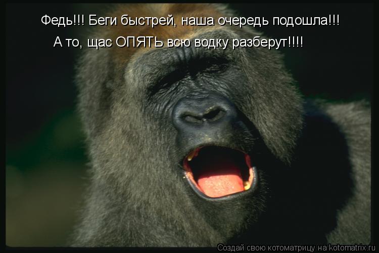 Федь!!! Беги быстрей, наша очередь подошла!!! А то, щас ОПЯТЬ всю водку разберут!!!!... Котоматрица: Федь!!! Беги быстрей, наша очередь подошла!!! А то, щас ОПЯТЬ всю водку разберут!!!!