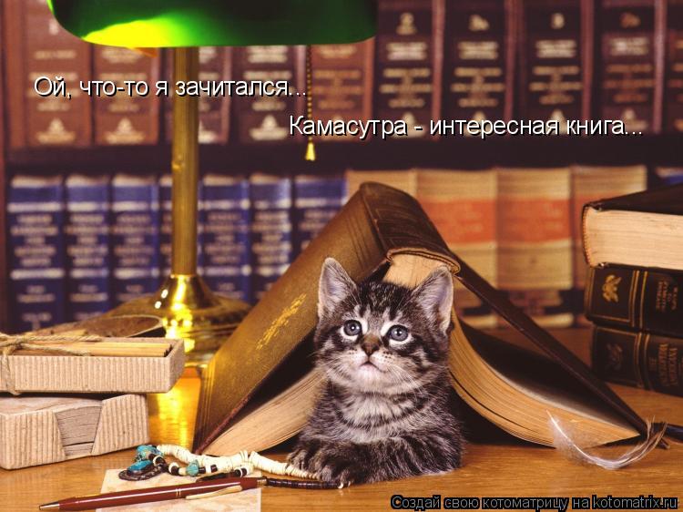 Ой, что-то я зачитался... Камасутра - интересная книга...... Котоматрица: Ой, что-то я зачитался... Камасутра - интересная книга...