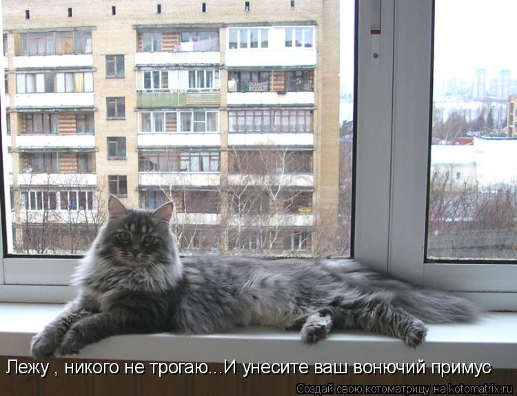 Лежу , никого не трогаю...И унесите ваш вонючий примус... Котоматрица: Лежу , никого не трогаю...И унесите ваш вонючий примус