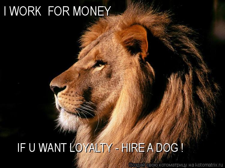 I WORK FOR MONEY IF U WANT LOYALTY - HIRE A DOG !... Котоматрица: I WORK FOR MONEY IF U WANT LOYALTY - HIRE A DOG !
