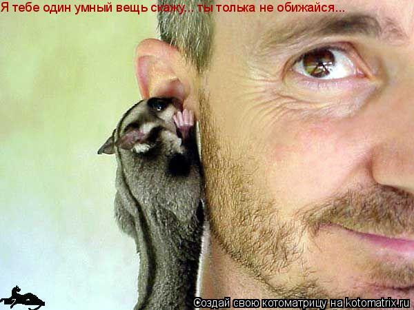 Я тебе один умный вещь скажу... ты толька не обижайся...... Котоматрица: Я тебе один умный вещь скажу... ты толька не обижайся...