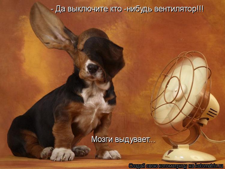 - Да выключите кто -нибудь вентилятор!!! Мозги выдувает...... Котоматрица: - Да выключите кто -нибудь вентилятор!!! Мозги выдувает...