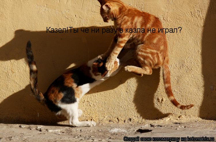 Казел!Ты че ни разу в казла не играл?... Котоматрица: Казел!Ты че ни разу в казла не играл?