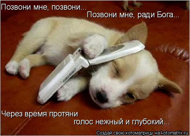 Позвони мне, позвони... Позвони мне, ради Бога... Через время протяни голос нежный и глубокий...... Котоматрица: Позвони мне, позвони... Позвони мне, ради Бога... Через время протяни голос нежный и глубокий...