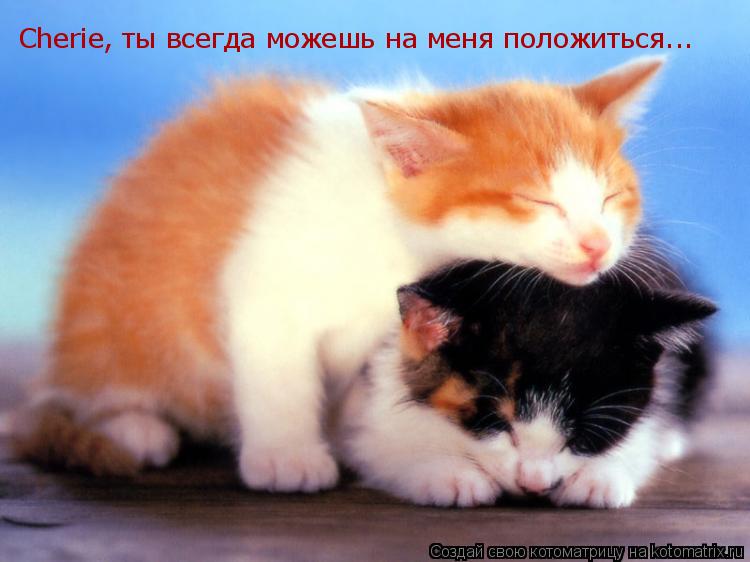 Cherie, ты всегда можешь на меня положиться...... Котоматрица: Cherie, ты всегда можешь на меня положиться...