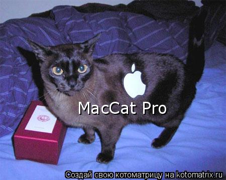 MacCat Pro... Котоматрица: MacCat Pro