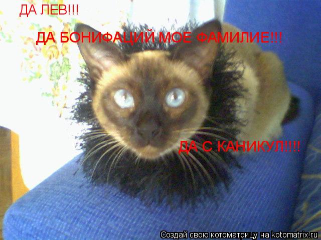 ДА ЛЕВ!!! ДА БОНИФАЦИЙ МОЕ ФАМИЛИЕ!!! ДА С КАНИКУЛ!!!!... Котоматрица: ДА ЛЕВ!!! ДА БОНИФАЦИЙ МОЕ ФАМИЛИЕ!!! ДА С КАНИКУЛ!!!!